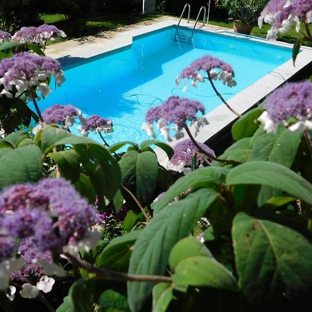 Four Seasons Apartment "Green Paradise" 菲拉赫 外观 照片